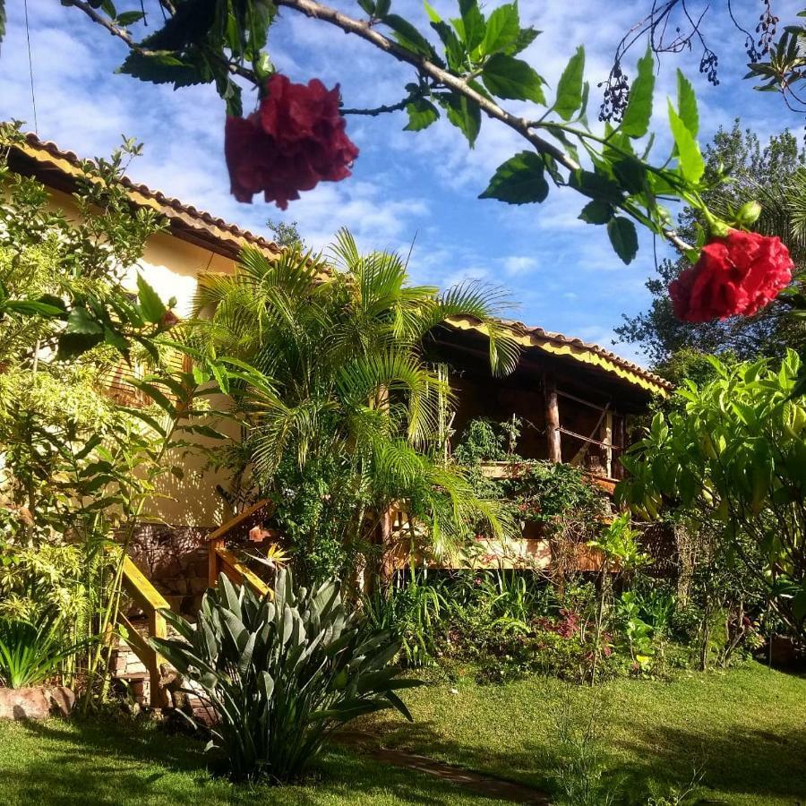 Jardim Orquideas * Mucuge