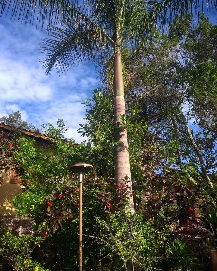 Jardim Orquideas